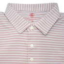 Switch Thin Stripe Polo 2 image