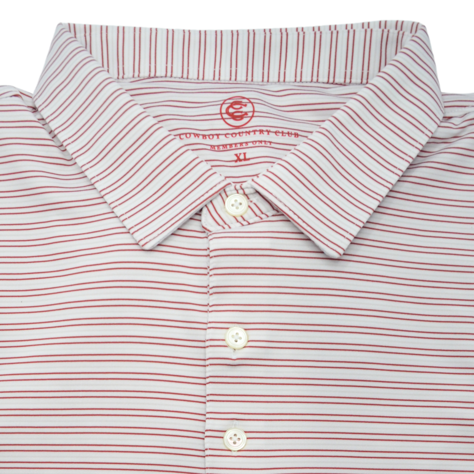 Thin Stripe Polo