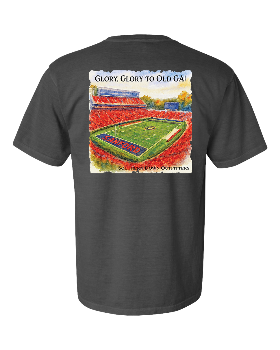 Glory Glory to Old GA! Tee