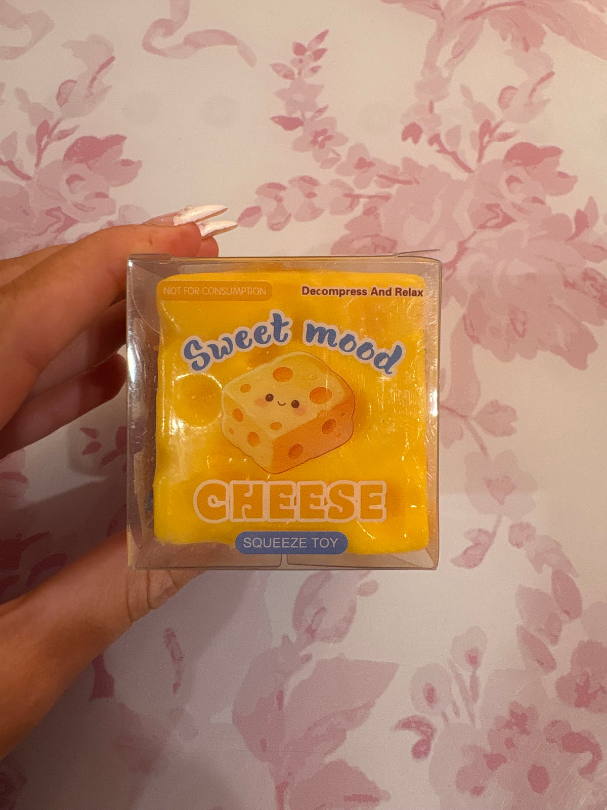 Crunchy Cheese Squishy