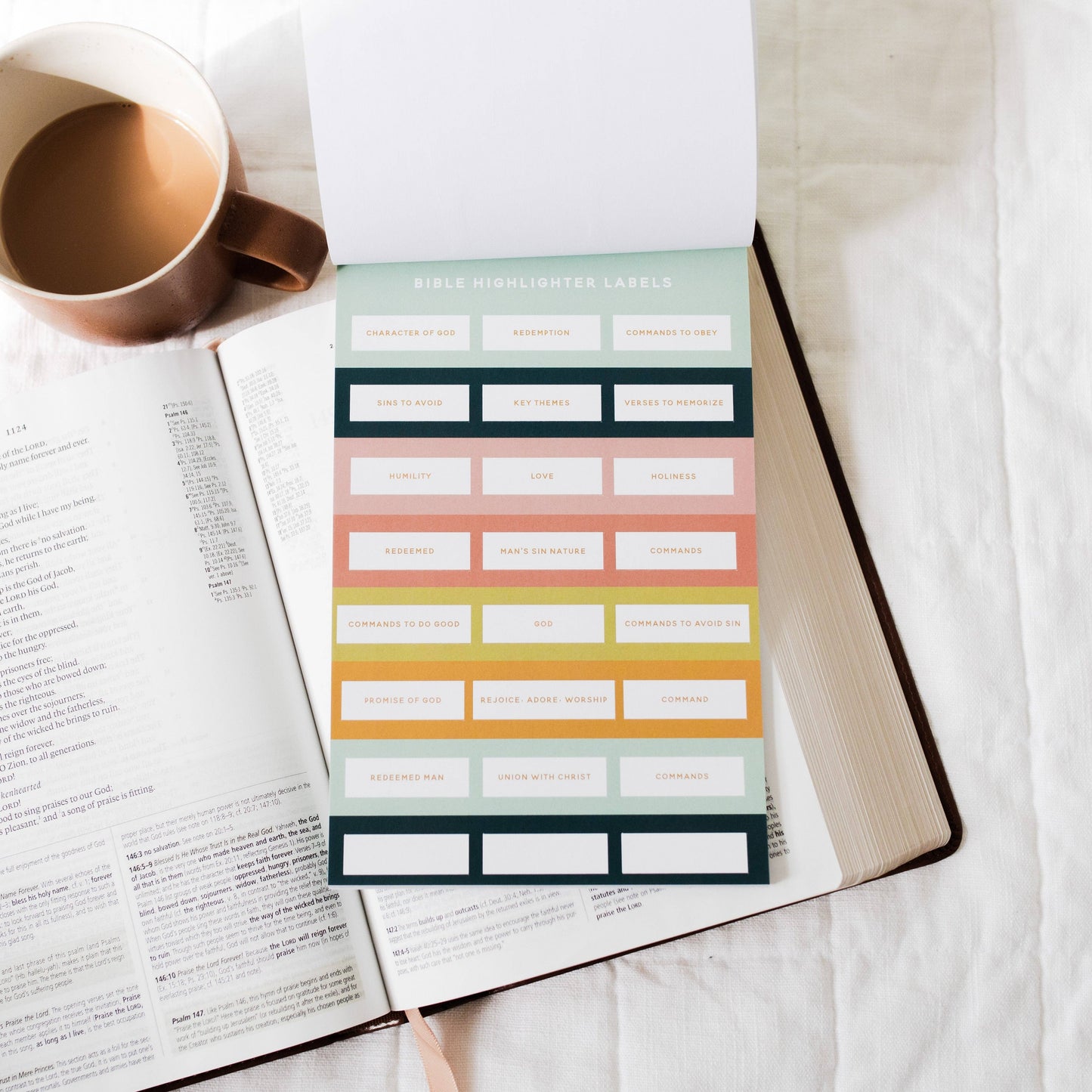 Bible Study Stickers