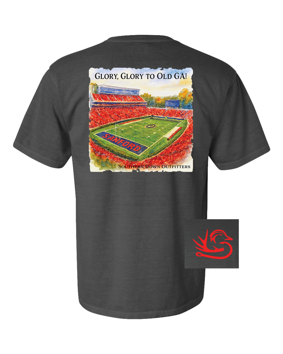 Glory Glory to Old GA! Tee