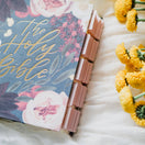 Switch Blush Bible Tabs 3 image