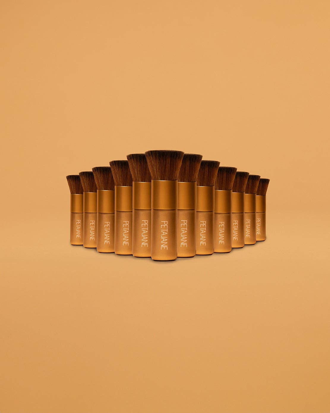 Pack of 12 - Face Perfecting Brush - Wholesale