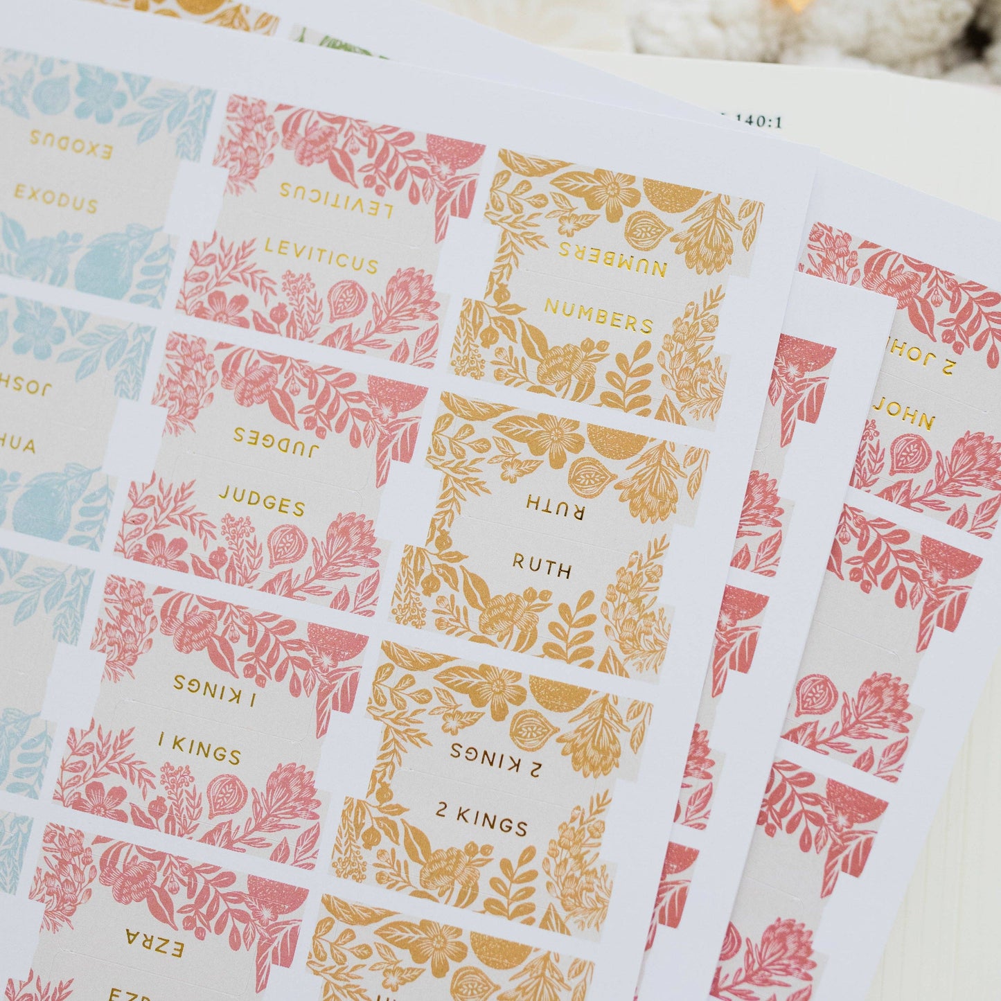 CITRUS BIBLE TABS