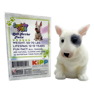 So Much Fun! Squishy Pets Keepsake Assortment - 12/Display: Wholesale Price