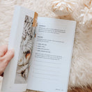 Switch Fix Your Focus | A 52-Week Guide to Help You Put God First 2 image