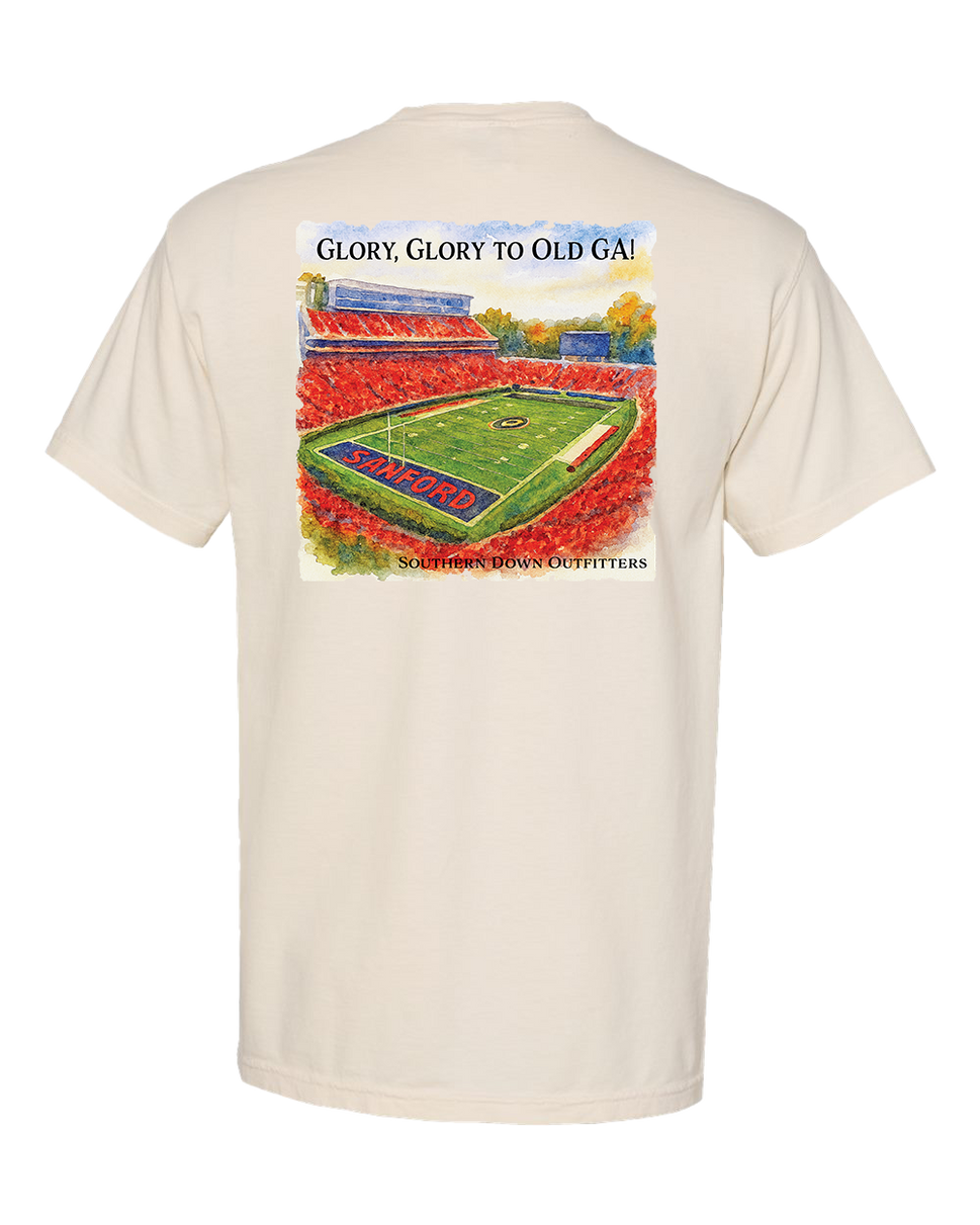 Glory Glory to Old GA! Tee