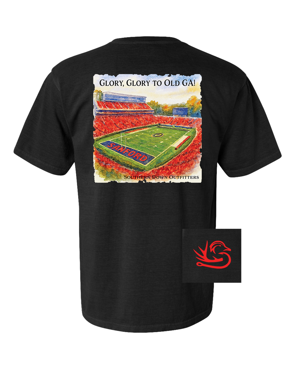 Glory Glory to Old GA! Tee