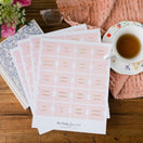 Switch Blush Bible Tabs | Spanish Edition 2 image