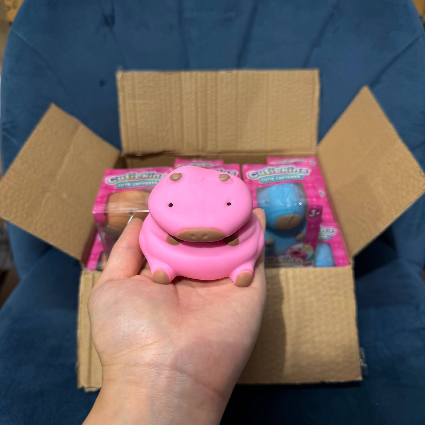 Sand Stretchy Capybara Toy | A015