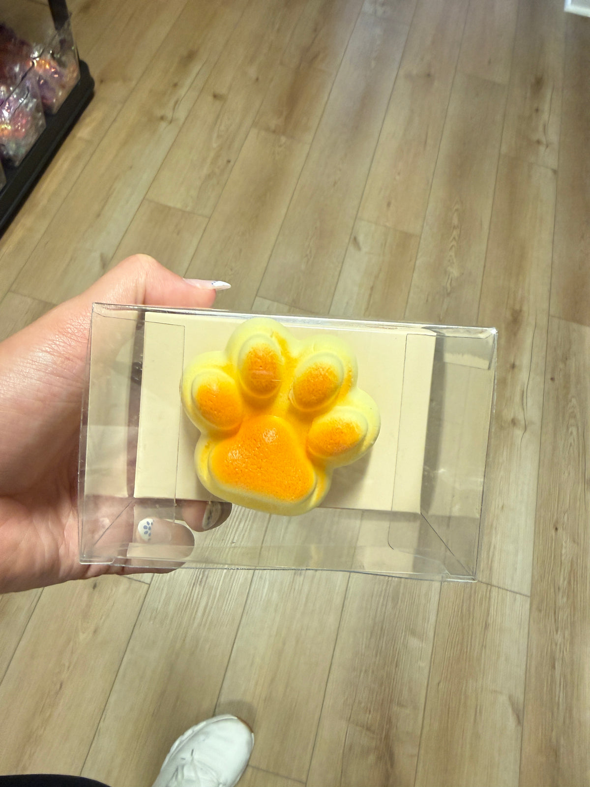 *Cat Paw Bread Box