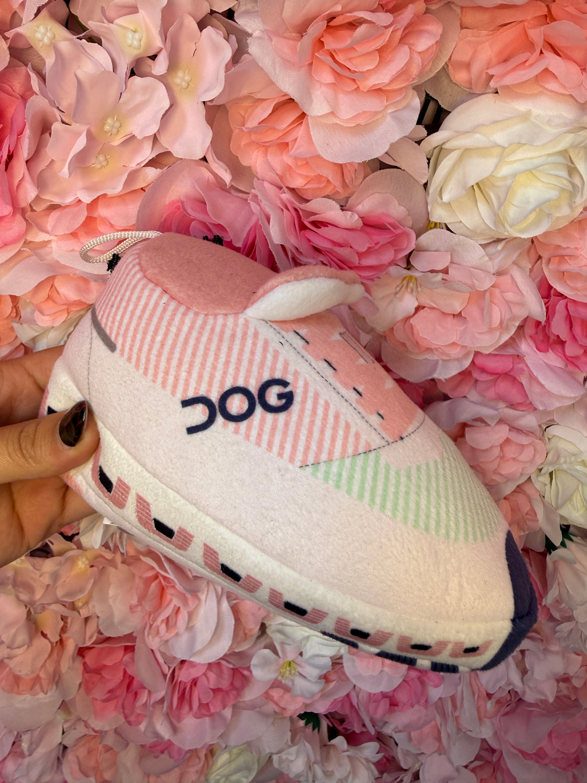Dog Workout Shoe Dog Toy