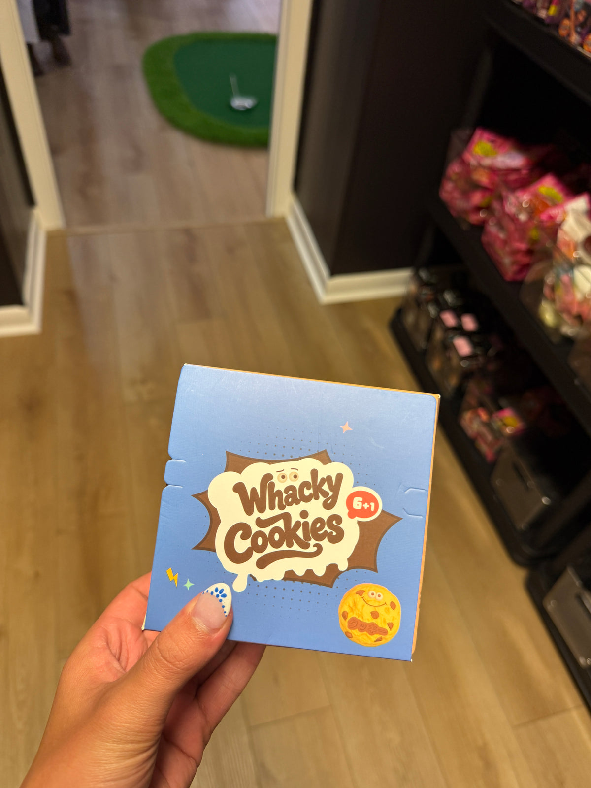 Whacky Cookies Squishy