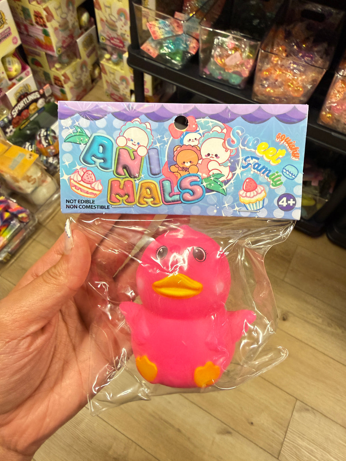 Duck Sweet Family