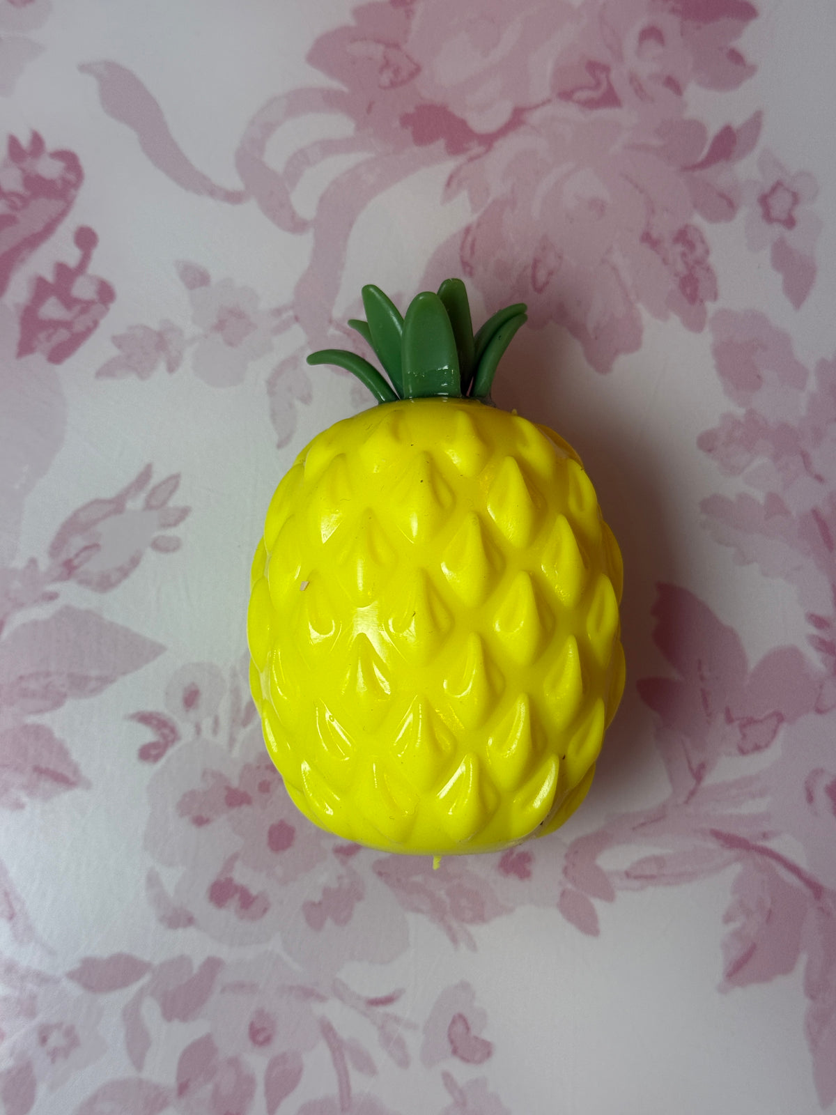 Crunchy Pineapple Squishy