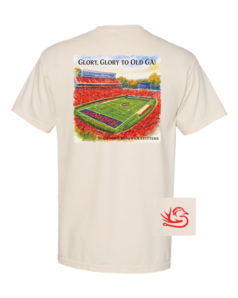 Glory Glory to Old GA! Tee