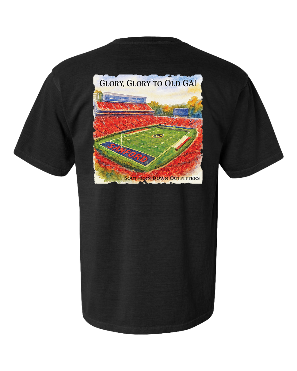 Glory Glory to Old GA! Tee
