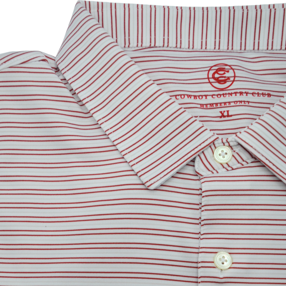 Thin Stripe Polo